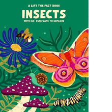 Load image into Gallery viewer, Lift the Fact Insects Boardbook