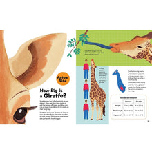 Load image into Gallery viewer, How Big - Animals Book