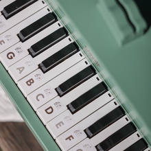 Load image into Gallery viewer, Classic World Vintage Piano