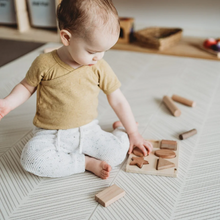 Load image into Gallery viewer, Q Toys Chunky Shape Puzzle 6 pc