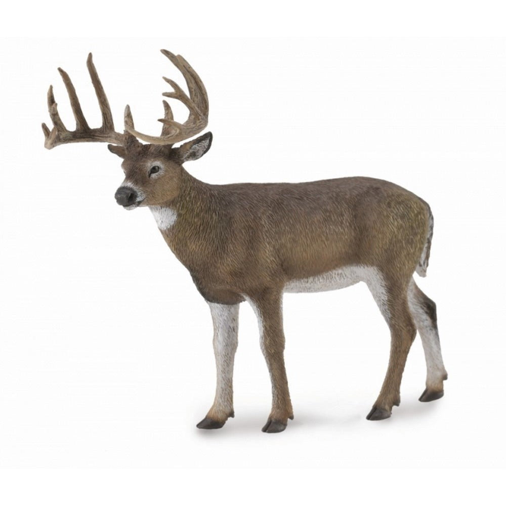 Collecta White Tailed Deer-Large