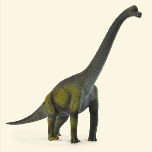 Collecta Dinosaur- Brachiosaurus - Large