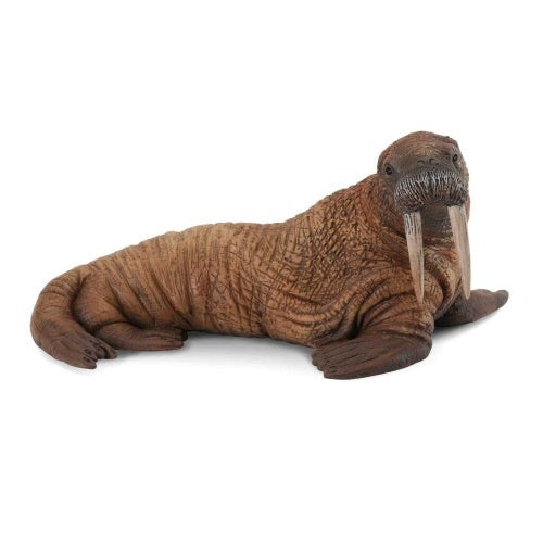 Collecta Walrus - Large