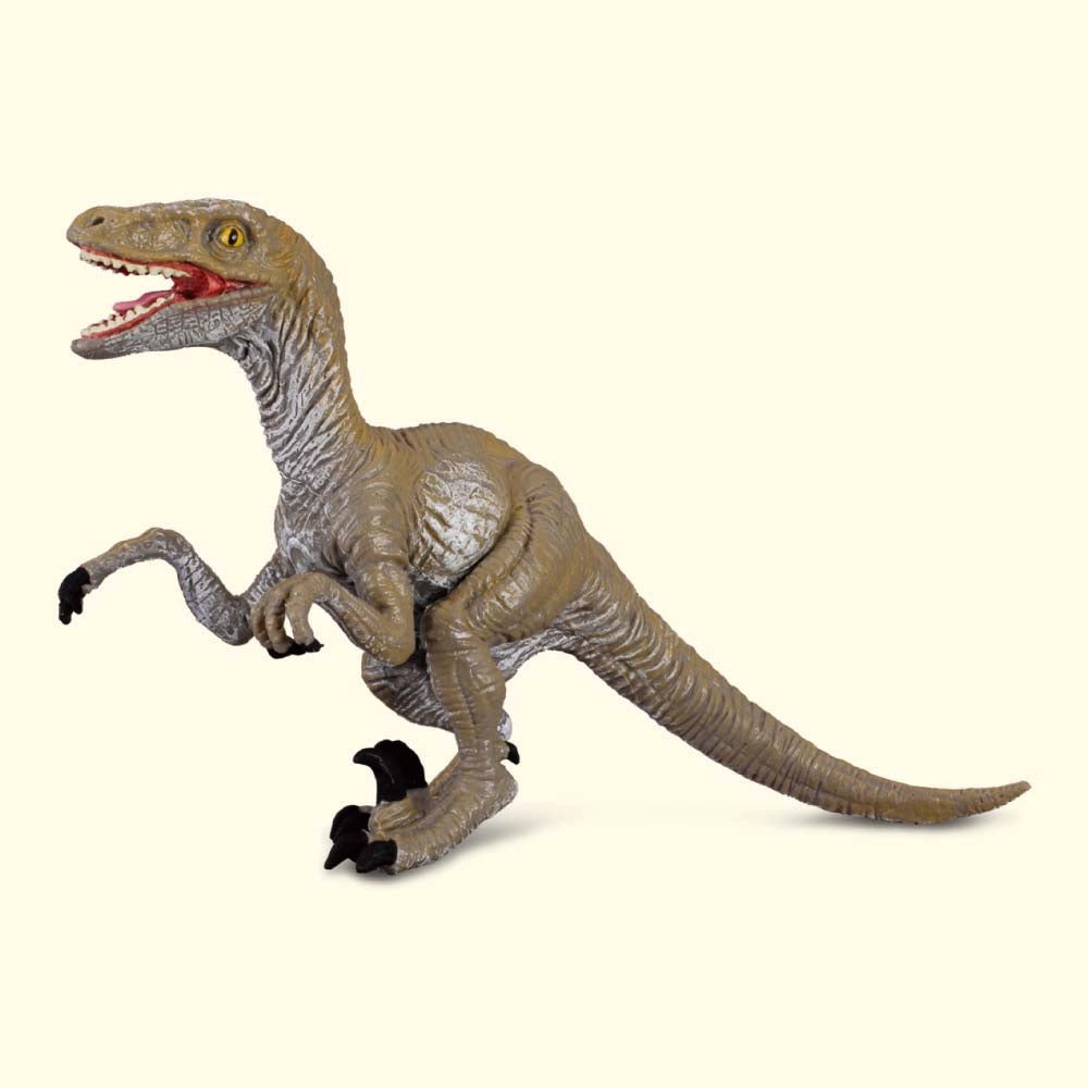 Collecta Velociraptor - Medium