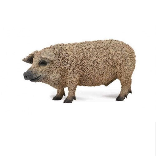 Collecta Hungarian Pig - Medium