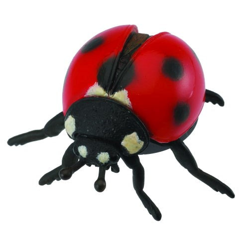 Collecta Ladybird - Medium