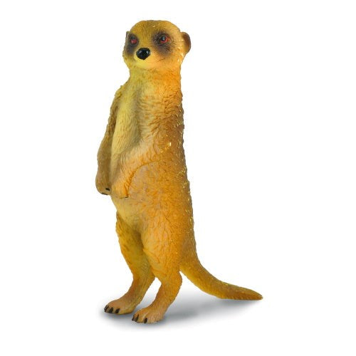 Collecta Meerkat