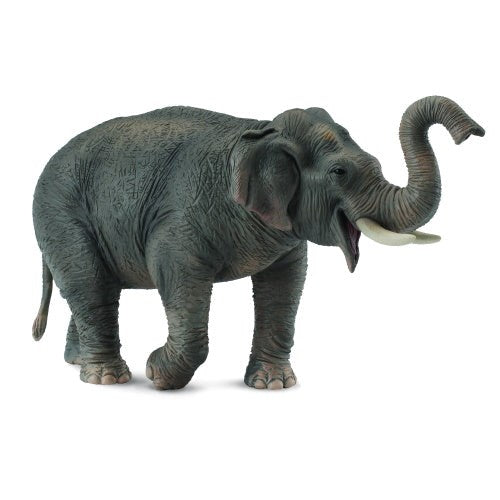 Collecta Asian Elephant - XL