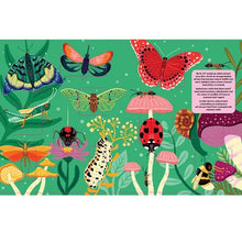 Load image into Gallery viewer, Lift the Fact Insects Boardbook
