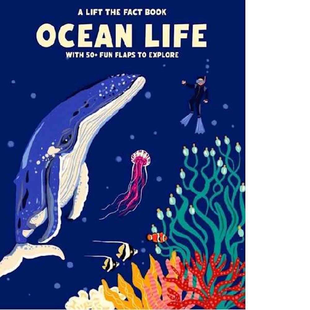 Lift the Fact Ocean Life Boardbook