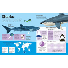 Load image into Gallery viewer, Infographic Animals Book
