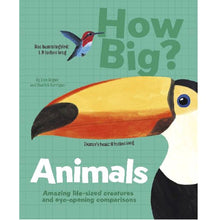 Load image into Gallery viewer, How Big - Animals Book
