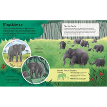 Load image into Gallery viewer, First Picture Encyclopedia of Animals
