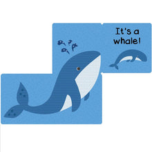 Load image into Gallery viewer, Who Am I Under the Sea Boardbook
