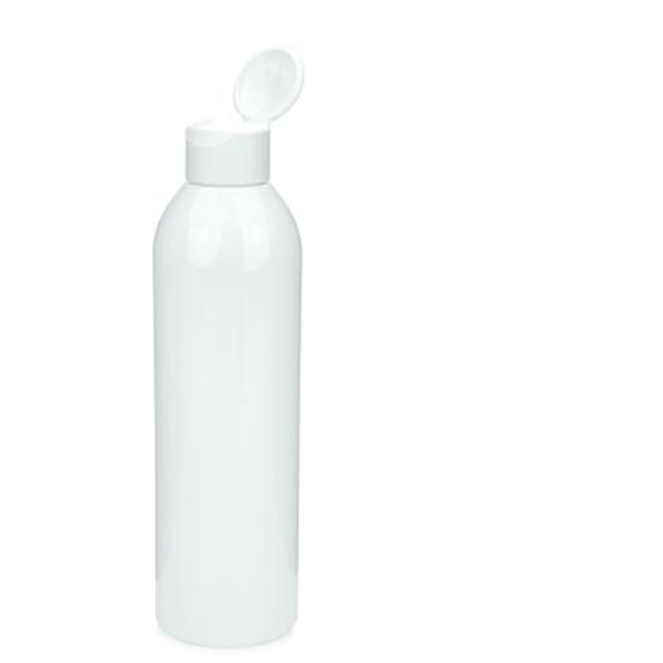 Dispenser Bottle With Spout