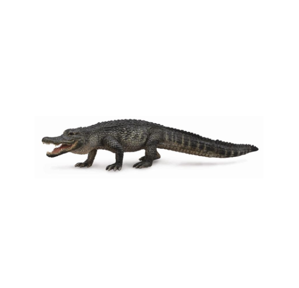 Collecta American Alligator - Large