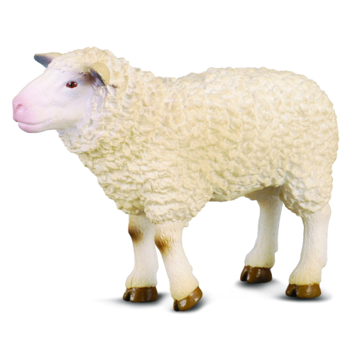 Collecta Sheep - Medium