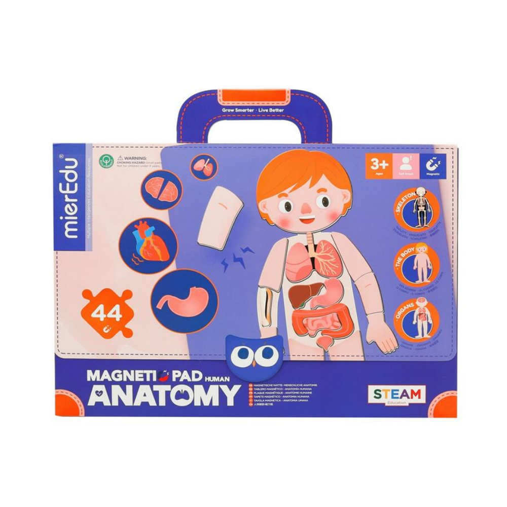 Mier Edu Magnetic Pad Human Anatomy