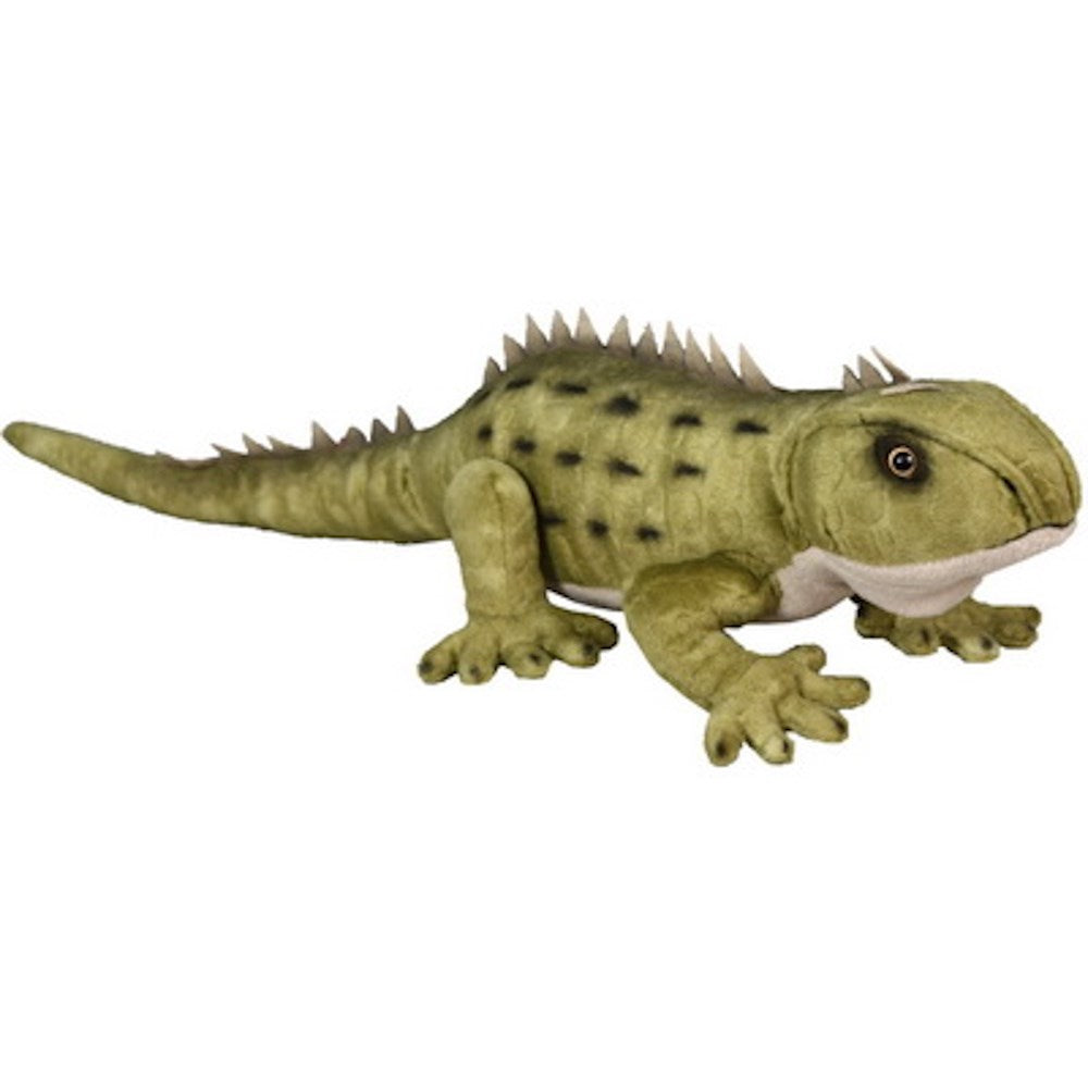 Tuatara With Sounds - 37Cm