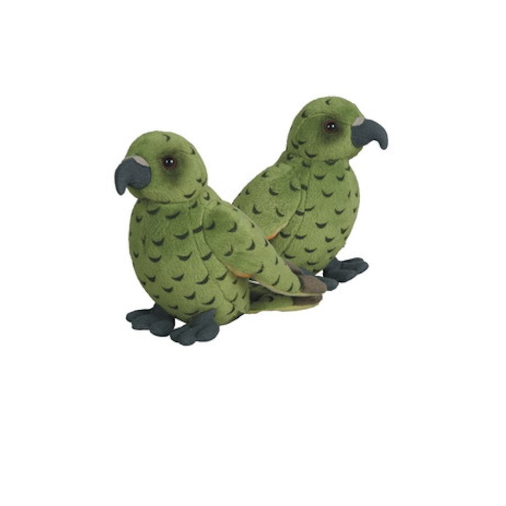 Nz Birds Kea With Sounds