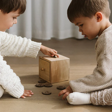 Load image into Gallery viewer, Q Toys Montessori Disc Post Box
