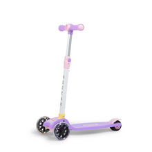 Load image into Gallery viewer, Scooter Hectar Plus

