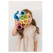Load image into Gallery viewer, Tender Leaf Toys Peacock Colours
