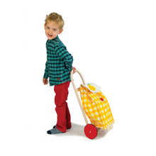 Load image into Gallery viewer, Tender Leaf Toys Pull Along Shopping Trolley
