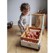 Load image into Gallery viewer, Kinderfeets Cargo Walker
