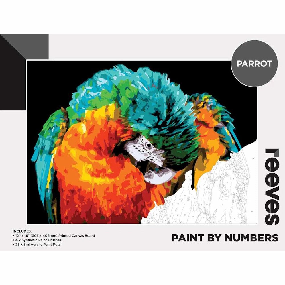 Reeves Paint By Numbers Set - Parrot