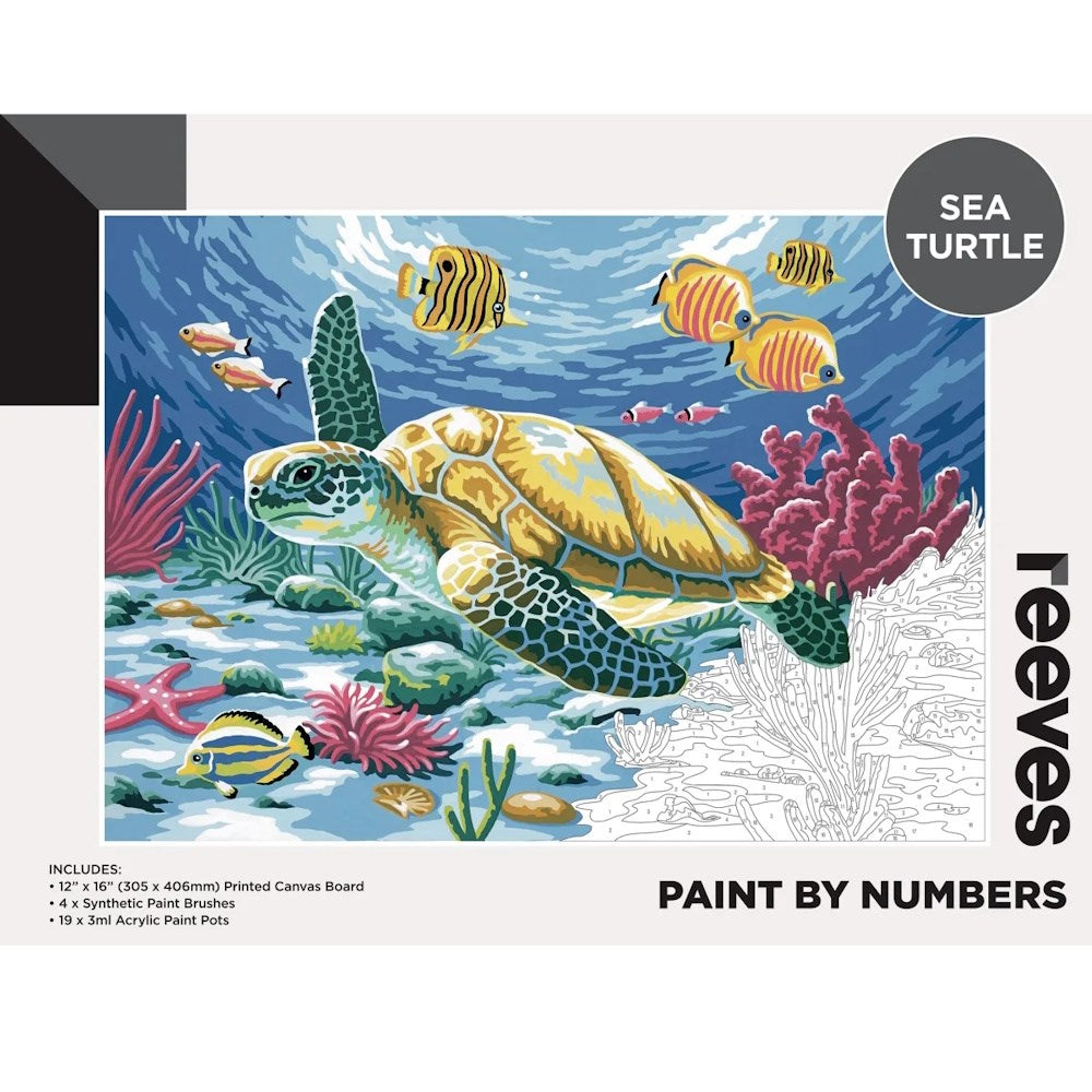 Reeves Paint by Numbers Set Sea Turtle