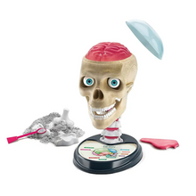 Load image into Gallery viewer, Clemintoni Science &amp; Play: Crazy Anatomy Lab
