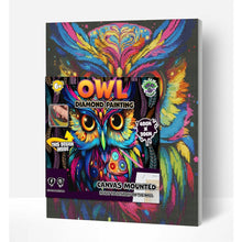 Load image into Gallery viewer, Splat Planet Diamond Painting Owl
