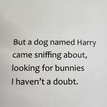 Load image into Gallery viewer, The Black Bunny Book
