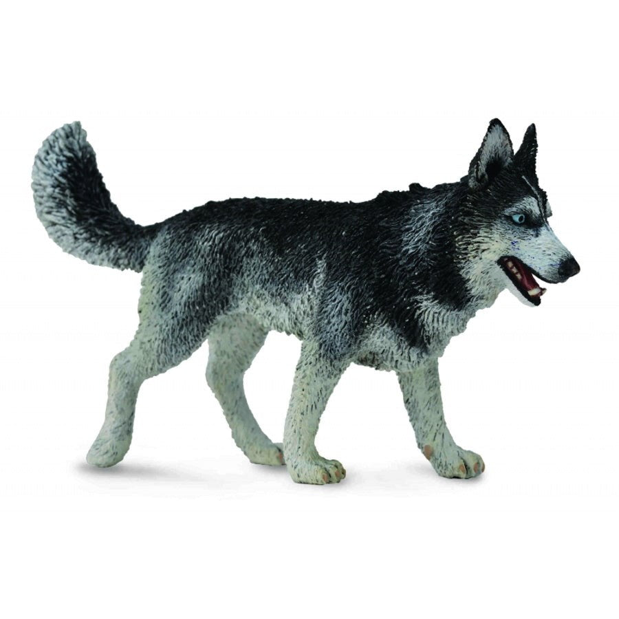 Collecta Siberian Husky - Large