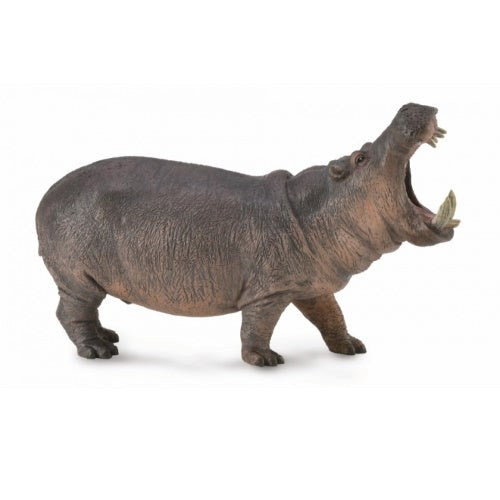 Collecta Hippopotamus - XL