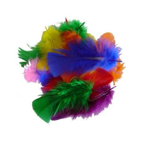 Coloured Feathers - Bag