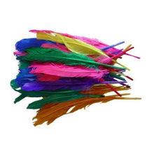 Load image into Gallery viewer, Coloured Feathers - Large
