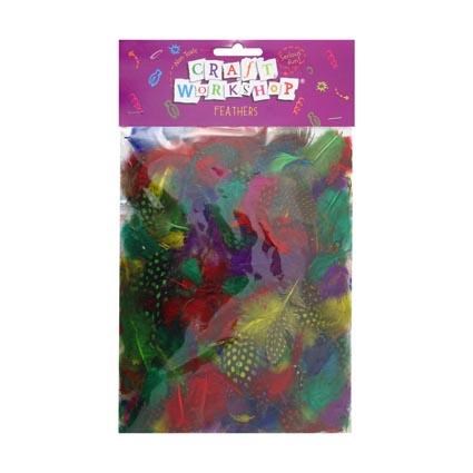 Mixed Pack Small Feathers - 6G