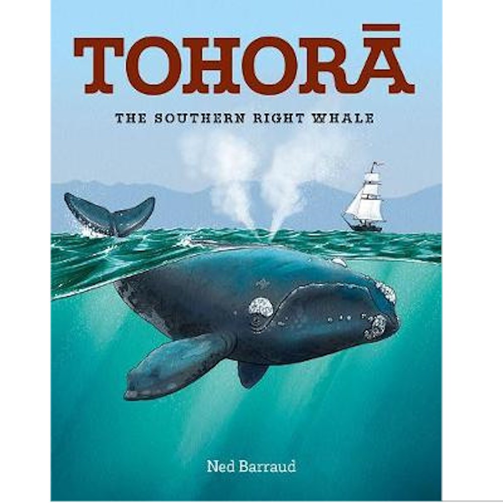 Tohora The Southern Right Whale