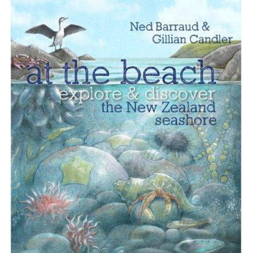 At The Beach - Explore NZ Seaside - Paperback