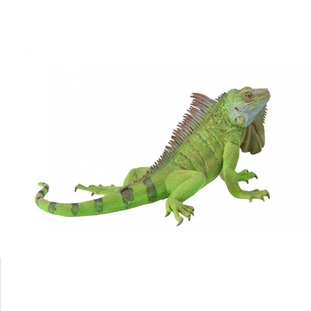 Collecta Iguana -XL