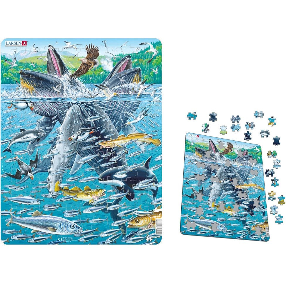 Larsen Humpback Whales Puzzle
